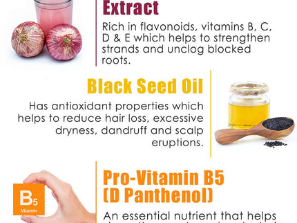 Wow Skin Science Red Onion Black Seed Oil Shampoo