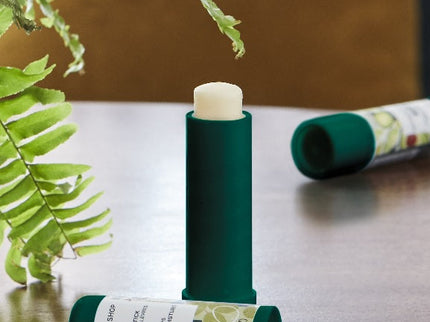 The Body Shop Olive Lip Care Stick - 4.2
