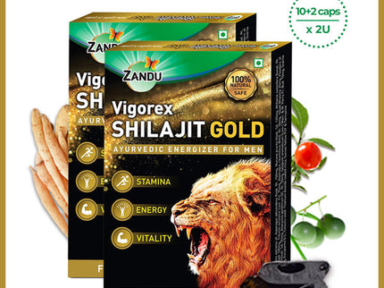 Zandu Vigorex Shilajit Gold Capsules - 12 Caps (Pack of 2)