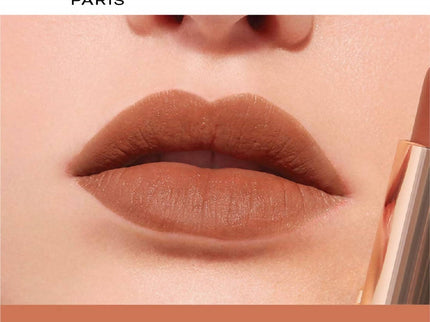 L'Oreal Paris Color Riche Moist Matte Lipstick - 304 Sunset Sur Seine