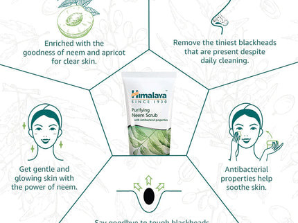 Himalaya Purifying Neem Scrub