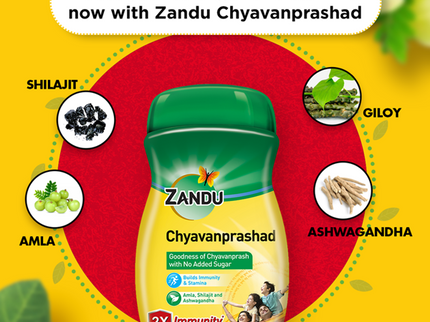 Zandu (Sugar Free) Chyavanprashad - 900 Gms