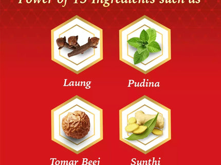Dabur Red Paste - 200 gms
