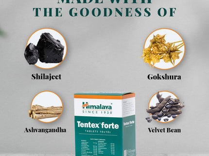 Himalaya Tentex Forte Tablets - 100 tablets