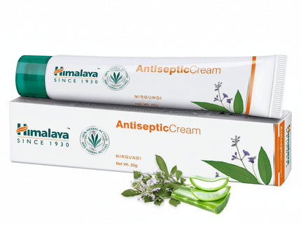 Himalaya Wellness Anti-Septic Cream - 20 gms