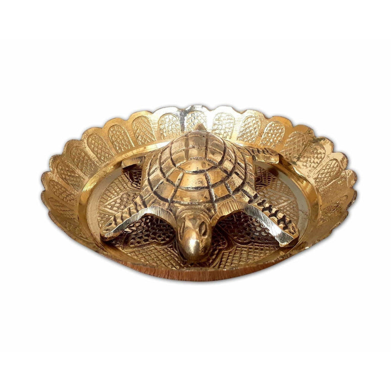 Tortoise with Small Brass Plate