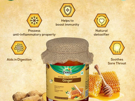 Zandu Pure Honey with Ginger