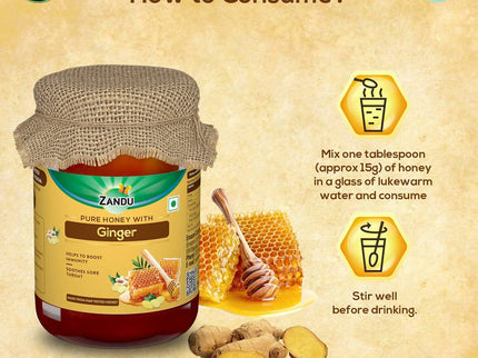 Zandu Pure Honey with Ginger